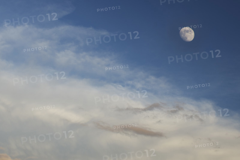 Moon rise in evening summer sky