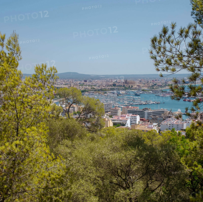 View of old town and marina. Palma de Mallorca, Balearic Islands, Spain