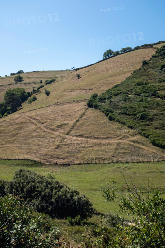 Green hills with fields and trails. Zumaia, Gipuzkoa, Spain