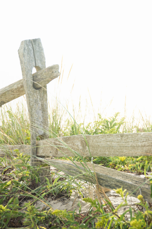 Close-up of old wood fence post in field. Nantucket, Massachusetts, United States