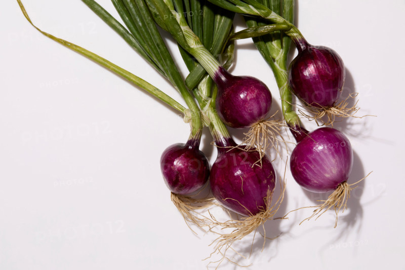Red onions on white background. New York City, New York State, United States