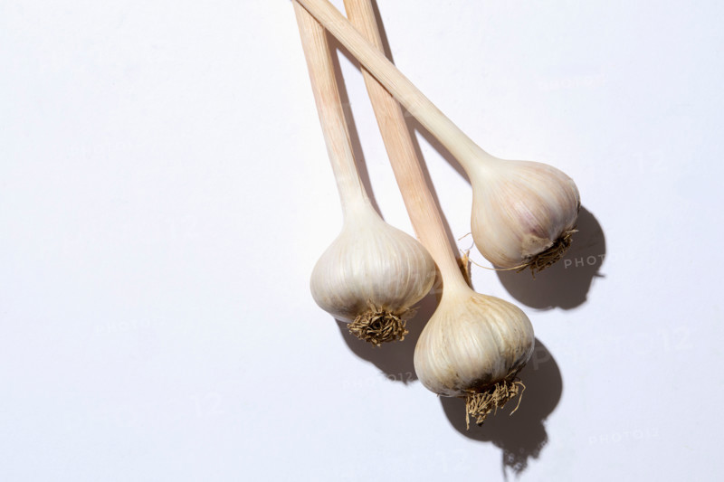 Fresh garlic bulbs on white background. New York City, New York State, United States