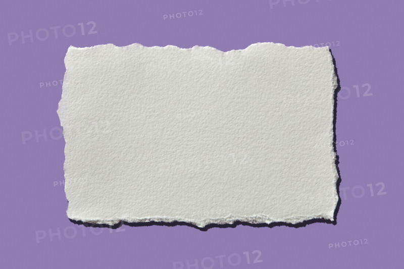White torn paper on purple background. New York City, New York State, United States