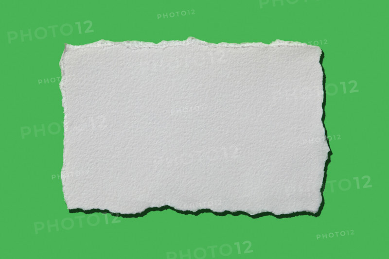 White torn paper on green background. New York City, New York State, United States