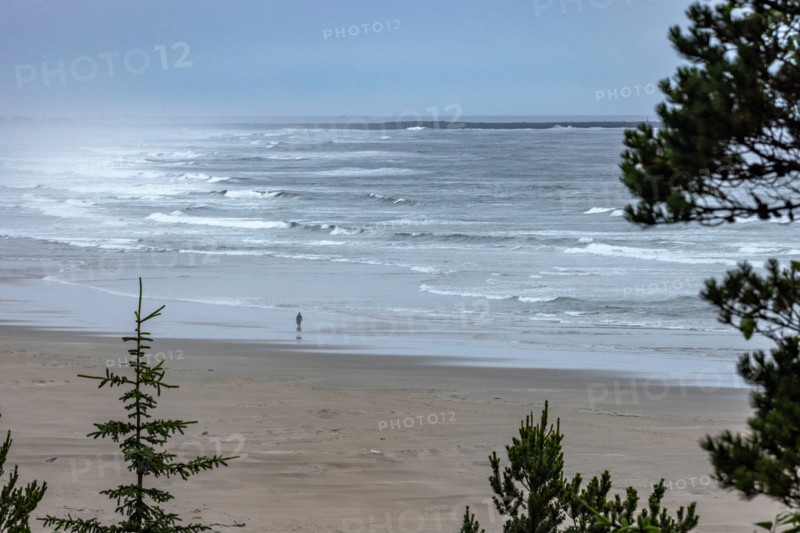 Distant lone person on Agate Beach . Newport, Oregon, United States