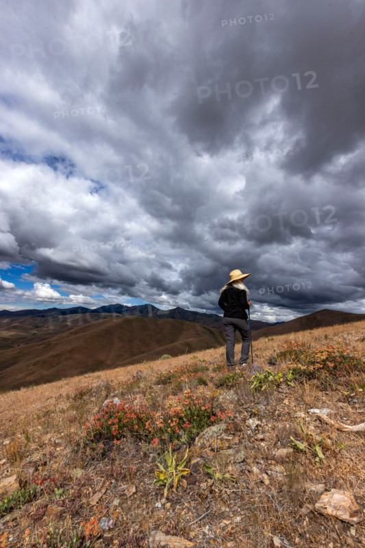 Rear view of woman on Carbonate Mountain. Hailey, Idaho, United States