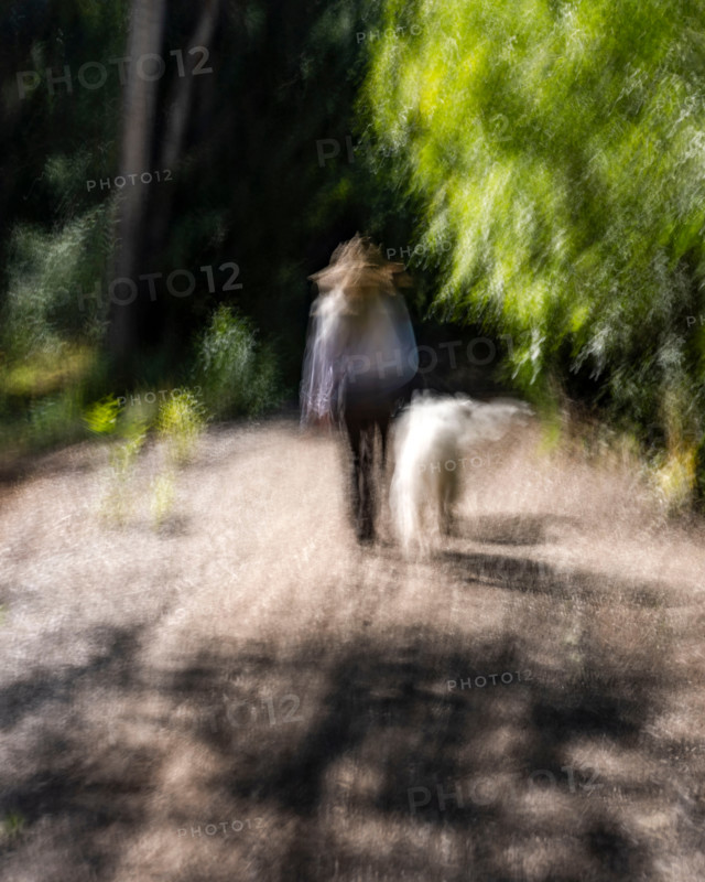 Rear view of woman and dog on footpath, blurred motion. Bellevue, Idaho, United States