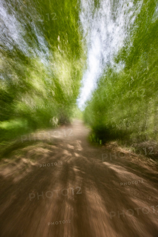 Footpath in forest, blurred motion. Bellevue, Idaho, United States
