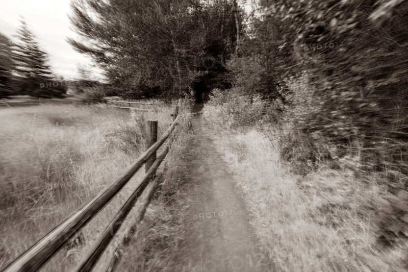Footpath near field with fence blurred motion. Bellevue, Idaho, United States