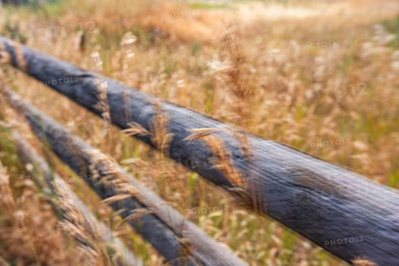 Close-up of. fence rails and wild grasses, blurred motion. Bellevue, Idaho, United States