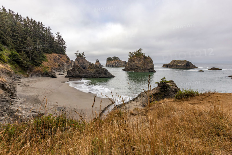 Sea stacks along Oregon coast. Gold Beach, Oregon, United States