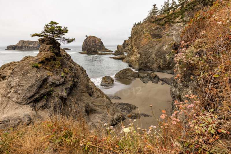Sea stacks along Oregon coast. Gold Beach, Oregon, United States