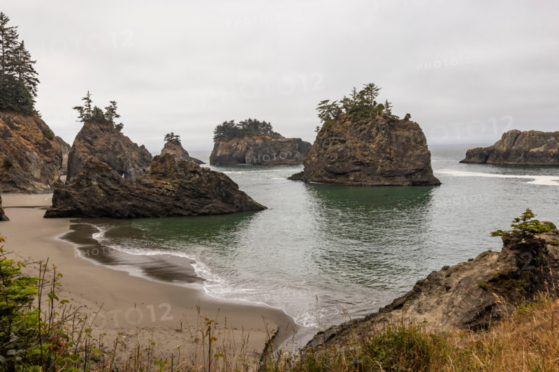 Sea stacks and cove along Oregon Coast. Gold Beach, Oregon, United States