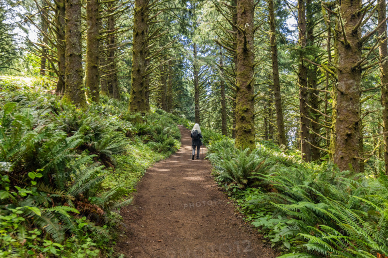 Rear view of woman hiking in forest. Lincoln City, Oregon, United States