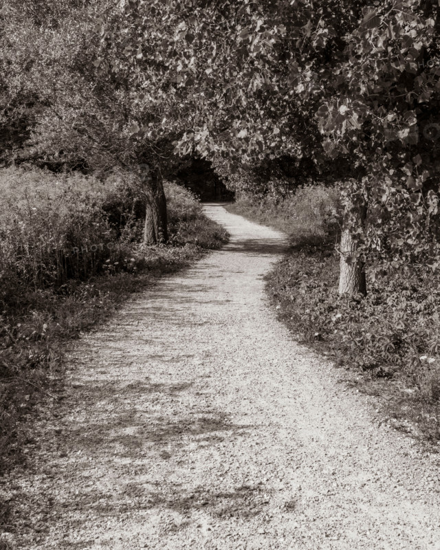 Empty rail trail path. Manchester, Vermont, United States