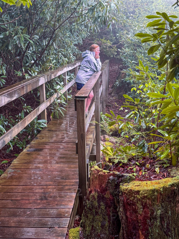 Woman relaxing on footbridge in forest on rainy day. Blacksburg, Virginia, United States