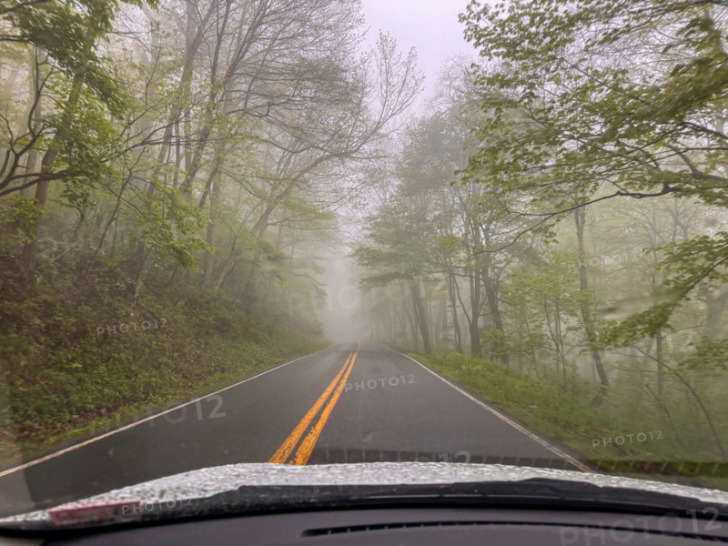 Road in forest seen from car. Blacksburg, Virginia, United States