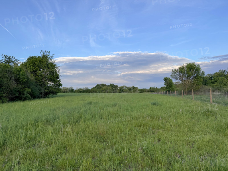 Green pasture on sunny summer day. Blacksburg, Virginia, United States