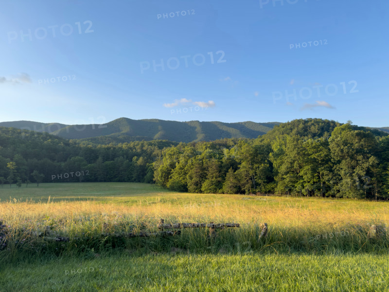 Grassy field and green hills on sunny day. Blacksburg, Virginia, United States