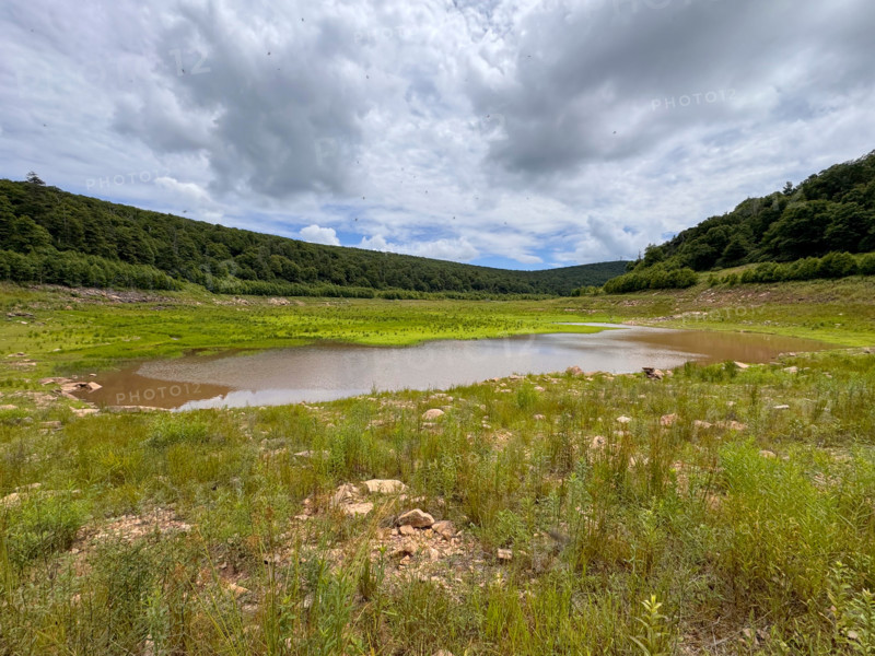 Drying lake bead in green valley. Blacksburg, Virginia, United States
