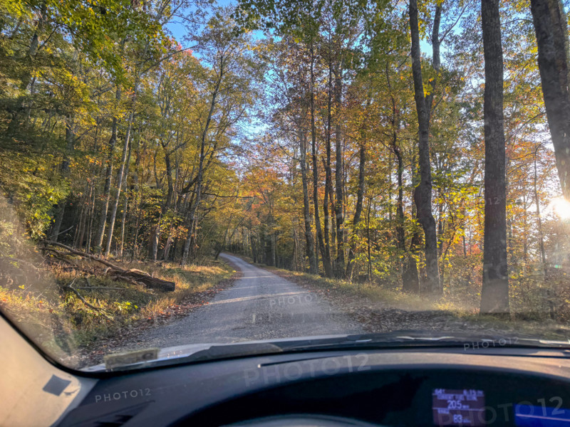 Treelined country road seen from car. Blacksburg, Virginia, United States