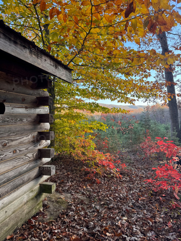 Log cabin in forest in autumn. Blacksburg, Virginia, United States