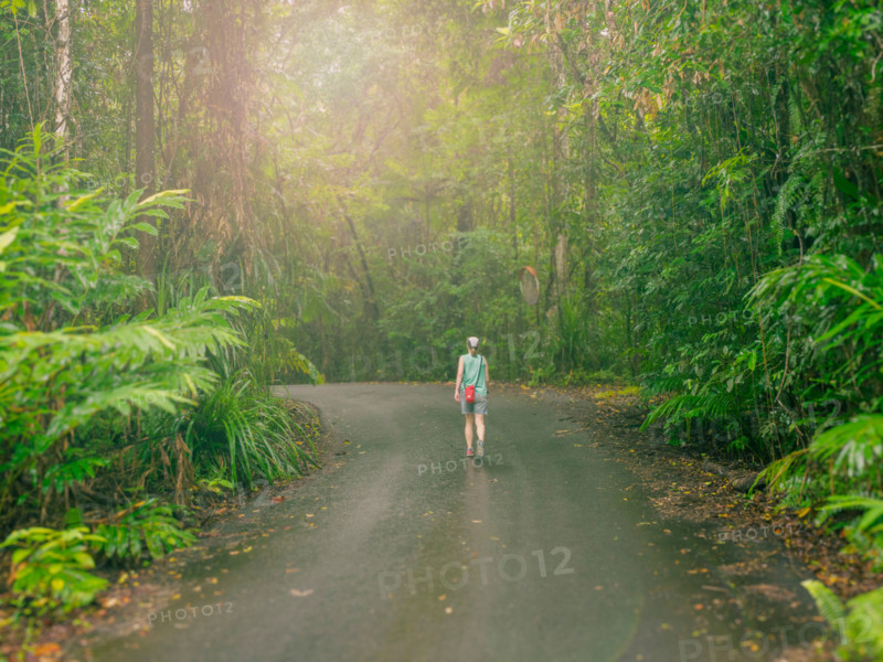 Rear view of woman walking along road in lush tropical forest. Mossman, Queensland, Australia