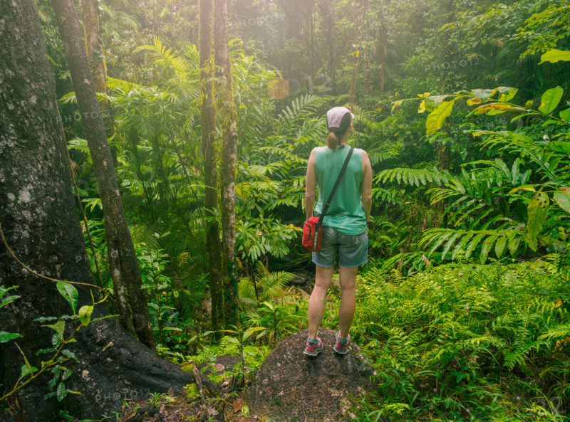 Rear view of woman standing in dense tropical forest. Mossman, Queensland, Australia