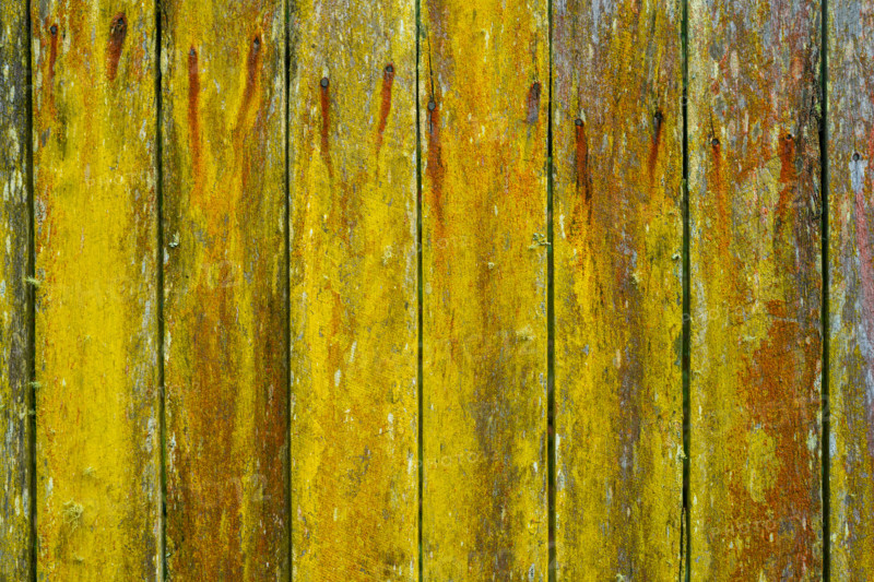 Close-up of old wooden fence covered in lichen. Leura, New South Wales, Australia