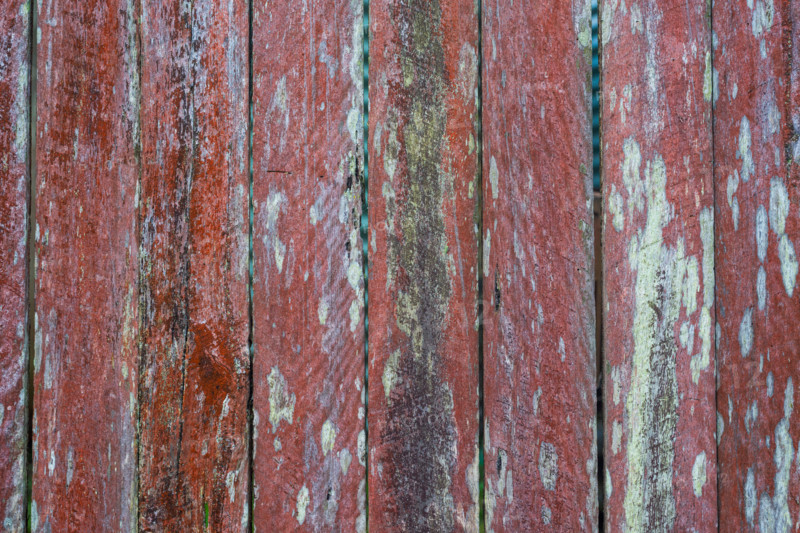 Close-up of old wooden fence covered in lichen. Leura, New South Wales, Australia