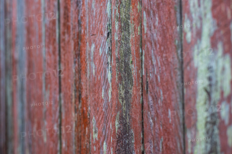Close-up of old wooden fence covered in lichen. Leura, New South Wales, Australia