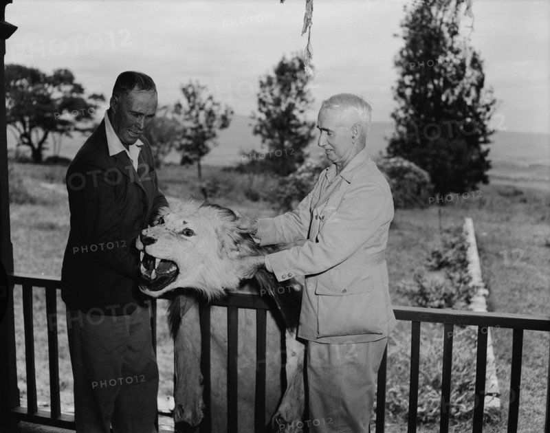 Clifford and Harold with lion skin. Clifford and Harold Hill holding up a lion skin. Kenya, 9 September 1954. Kenya, Eastern Africa, Africa.