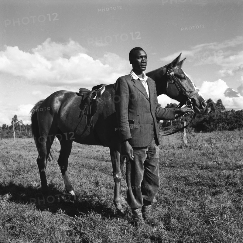 Fosdick's horses. Atmospheric photograph of an African man standing with one of Fosdick's horses at the Kuwinda horse show. Kuwinda, Nairobi, Kenya, 5 December 1954. Nairobi, Nairobi Area, Kenya, Eastern Africa, Africa.