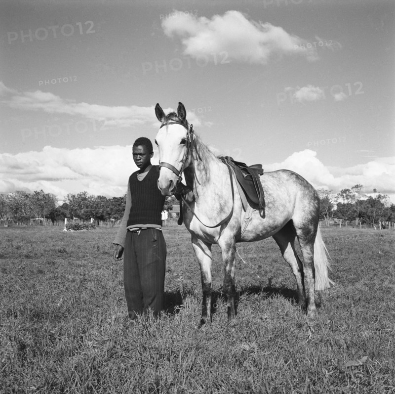 Fosdick's horses. An African man stands with one of Fosdick's horses at the Kuwinda horse show. Kuwinda, Nairobi, Kenya, 5 December 1954. Nairobi, Nairobi Area, Kenya, Eastern Africa, Africa.