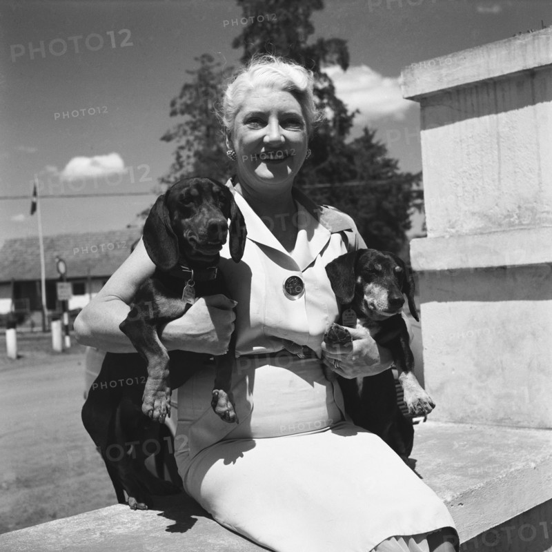 Mrs Keldie's dachshund dogs. Mrs Keldie sit outdoors holding her two pet dachshund dogs for the camera, one under each arm. Both animals wear collars that read 'KMB dog 1954'. Kitale, Kenya, 26 December 1954. Kitale, Rift Valley, Kenya, Eastern Africa, Africa.