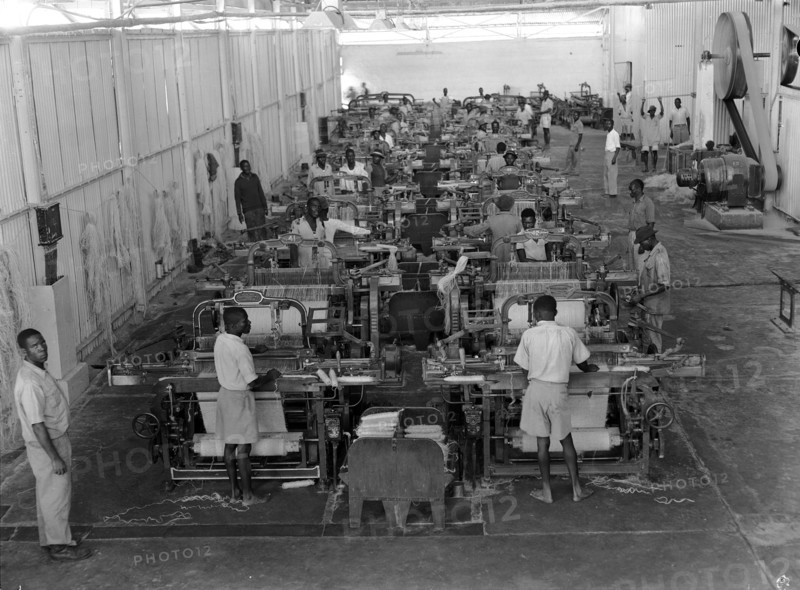 Weaving sisal. Factory workers operate weaving machines at Sisal Products Ltd. Grown commercially for its hard fibres, sisal is a cactus closely related to hemp that is used to make products such as twine, rope and sacks etc. Kenya, 18 February 1953. Kenya, Eastern Africa, Africa.