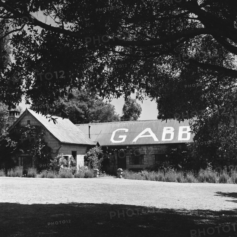 Gabb's house. A single storey house belonging to Gabb displays the large painted letters 'GABB' on its pitched roof. During the Mau Mau campaigns of the 1950s, house owners used signs such as this to announce which side they were affiliated to. North Kinangop, Kenya, 9-12 February 1953. Kinangop, Central (Kenya), Kenya, Eastern Africa, Africa.