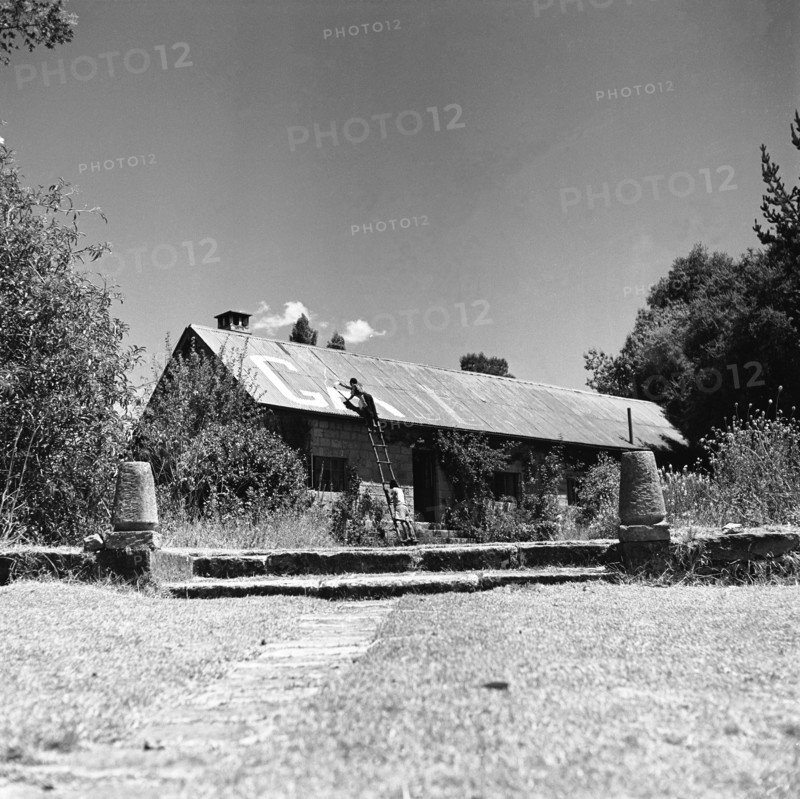 Name painting. A man on a ladder paints the name 'GABB' in large letters on the pitched roof of a single storey house belonging to Gabb. During the Mau Mau campaigns of the 1950s, house owners used signs such as this to announce which side they were affiliated to. North Kinangop, Kenya, 9-12 February 1953. Kinangop, Central (Kenya), Kenya, Eastern Africa, Africa.