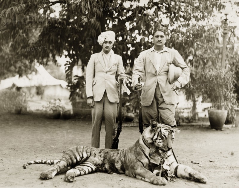 Tiger kill. Two Indian men in Western dress pose proudly over their recent tiger kill, cigar and shotguns in hand. India, circa 1930. India, Southern Asia, Asia.