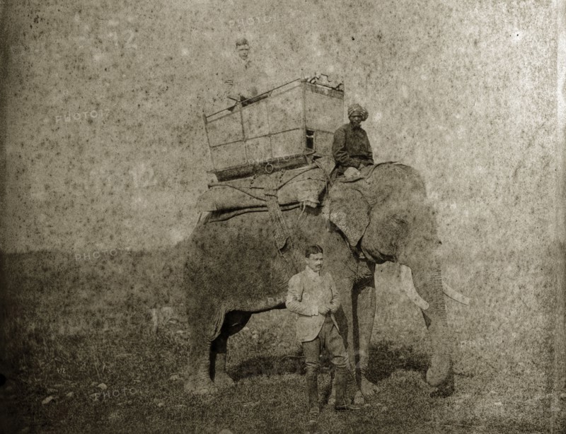 Hunting elephant with howdah. An Indian man, dressed in Western clothing, stands beside a hunting elephant that carries a British passenger in a howdah on its back. North East India, circa 1890. India, Southern Asia, Asia.