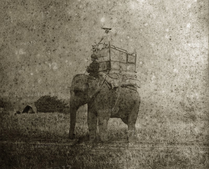 A hunting elephant and its mahout. A British man gazes out from a howdah on the back of hunting elephant, whilst an Indian mahout (elephant handler) hold the reins. North East India, circa 1890. India, Southern Asia, Asia.