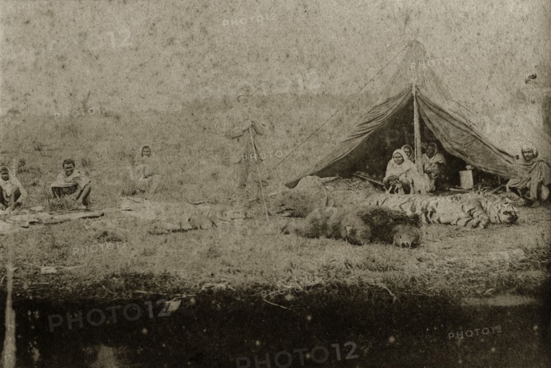 Trophies at a hunting camp. A British hunter stands proudly over the day's hunting spoils which include the head of a rhinoceros and bodies of a tiger and brown bear. Indian servants crouch on the ground in tents surrounding the kills. North East India, circa 1890. India, Southern Asia, Asia.