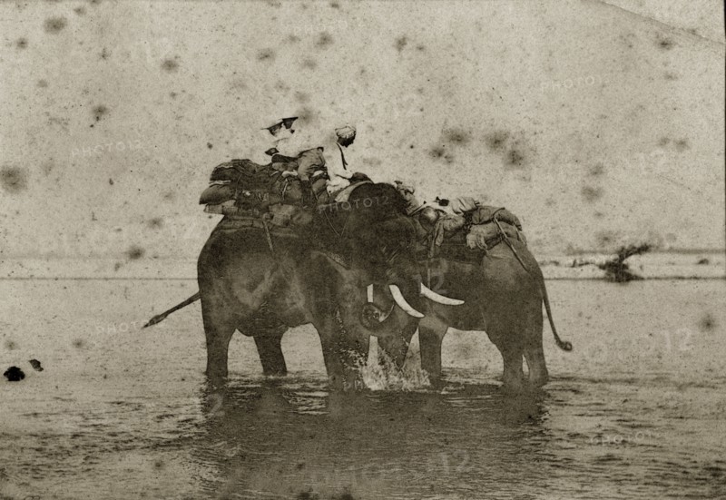 Hunting elephants wet their feet. Two hunting elephants loaded with blankets cool their feet in a shallow river, their mahouts (elephant handlers) sitting patiently on board. North East India, circa 1890. India, Southern Asia, Asia.
