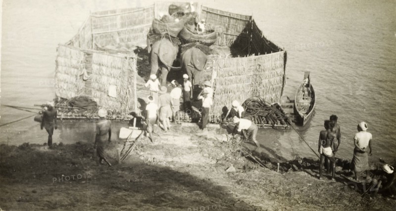 Transporting elephants across a river. Two elephants, used to manoeuvre timber in the teak forests of Burma (Myanmar), are persuaded onto an enclosed raft, ready to be transported across a wide river. Burma (Myanmar), circa 1910. Burma (Myanmar), South East Asia, Asia.