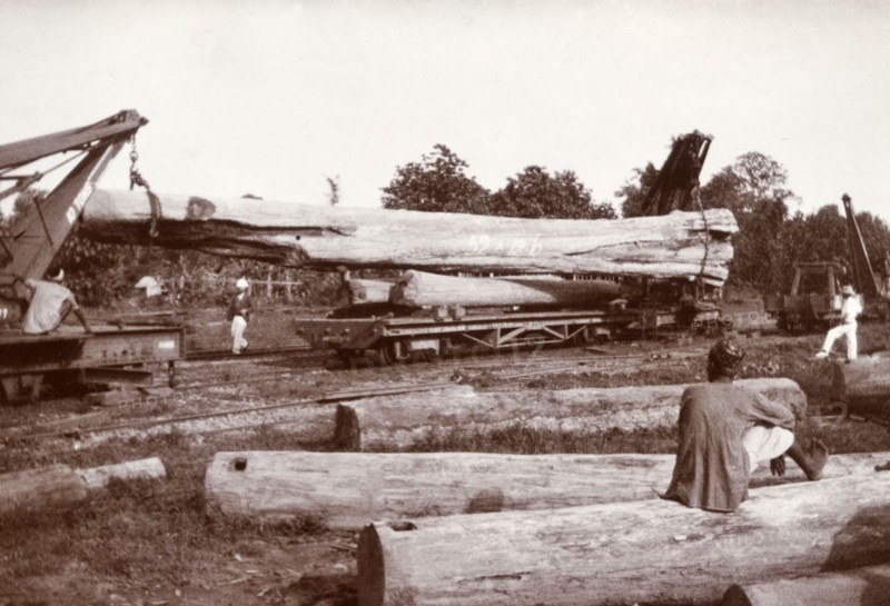Loading a ten-ton tree trunk. A huge tree trunk, weighing 10 tonnes according to an original caption, is loaded onto a flatbed railcar with the use of two cranes. Kyidaunggan, Mandalay Division, Burma (Myanmar), circa 1910. Kyidaunggan, Mandalay, Burma (Myanmar), South East Asia, Asia.
