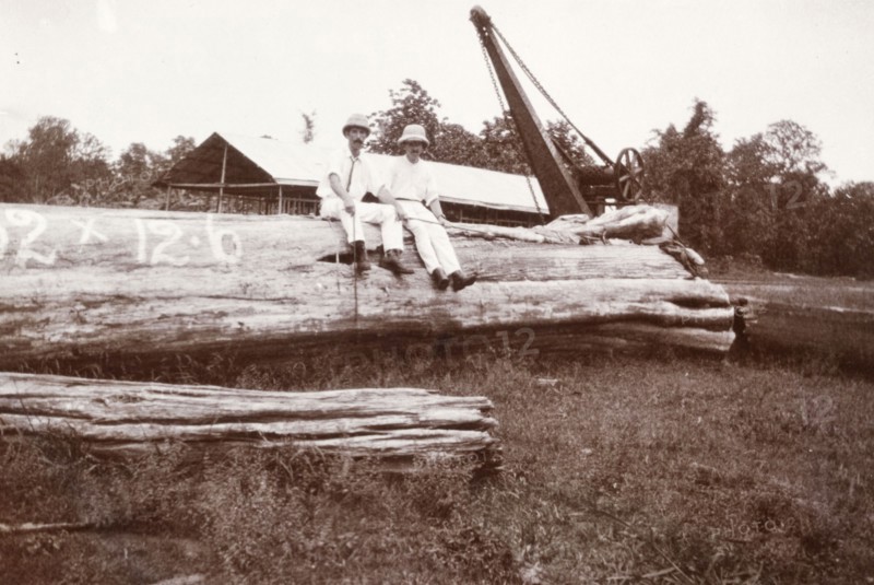 Sitting on a ten-ton log. Two European men pose for the camera, seated on top of a huge tree trunk at a Burmese logging yard. An original caption comments that this piece of timber weighed 10 tonnes. Kyidaunggan, Mandalay Division, Burma (Myanmar), circa 1910. Kyidaunggan, Mandalay, Burma (Myanmar), South East Asia, Asia.