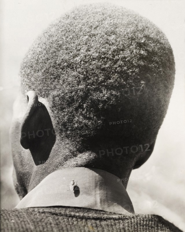 Tsetse fly on the back of a man's collar. A large tsetse fly sits on the back of a man's collar. Tsetse flies feed on blood and are attributed to the spread of sleeping sickness (African trypanosomiasis) in humans, which is endemic in certain regions of Africa. Probably Northern Rhodesia (Zambia), circa 1950. Zambia, Southern Africa, Africa.