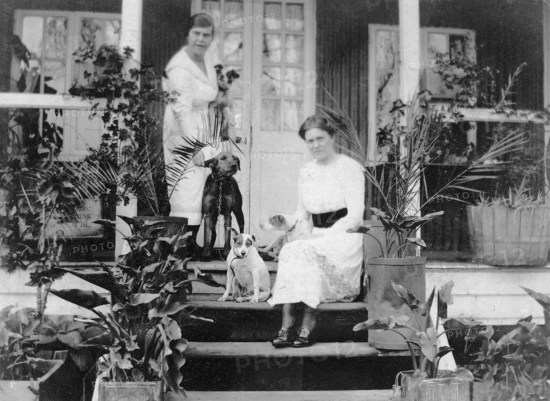 Pets and plants at number 61. Two women on the veranda of a timber-framed colonial bungalow, number 61, surrounded by an assortment of dogs and house plants. Nairobi, British East Africa (Kenya), 1917. Nairobi, Nairobi Area, Kenya, Eastern Africa, Africa.