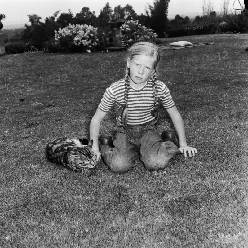 In the Russel's garden. A young girl dressed in jeans with her hair braided into two long plaits, plays with a tabby cat in the Russel's garden. Kenya, 4 September 1955. Kenya, Eastern Africa, Africa.