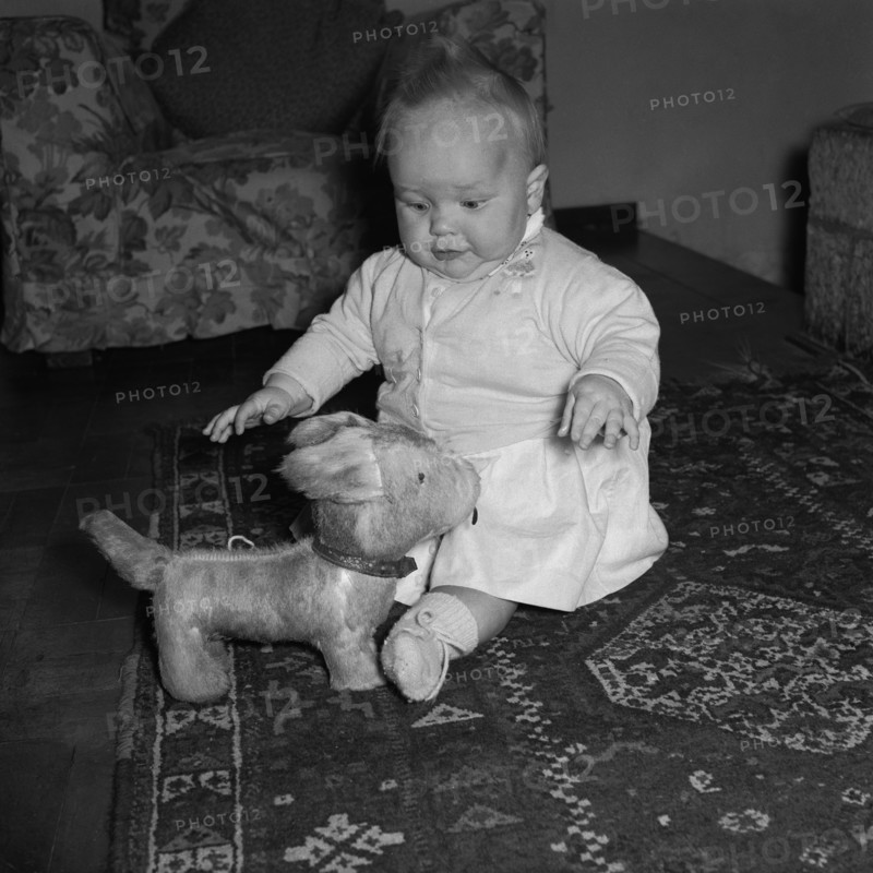 Baby at the Russel's house. A baby sitting on a patterned rug is captivated by a furry toy dog at the Russel's family house. Kenya, 4 September 1955. Kenya, Eastern Africa, Africa.